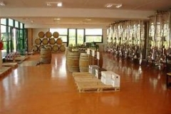 Azienda vinicola
